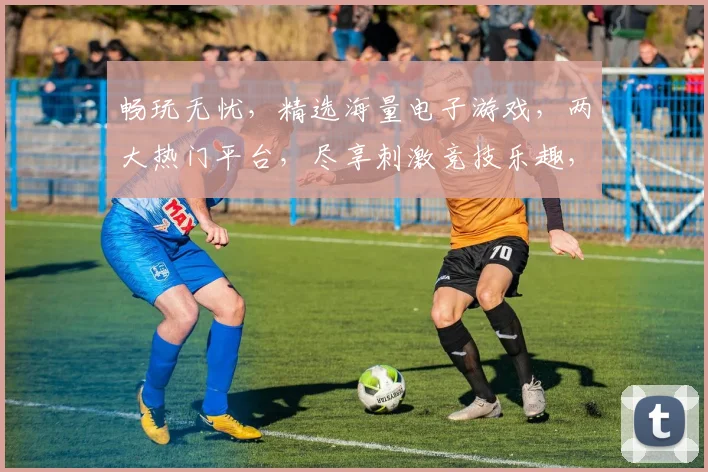 畅玩无忧，精选海量电子游戏，两大热门平台，尽享刺激竞技乐趣，快快加入