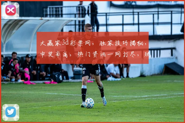 大赢家3d彩票网，独家技巧揭秘，中奖率高，热门资讯一网打尽，玩转彩市必备