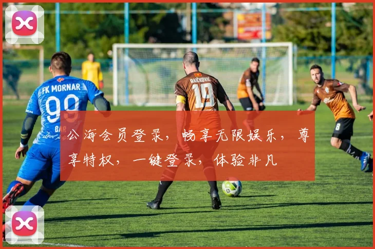 公海会员登录，畅享无限娱乐，尊享特权，一键登录，体验非凡