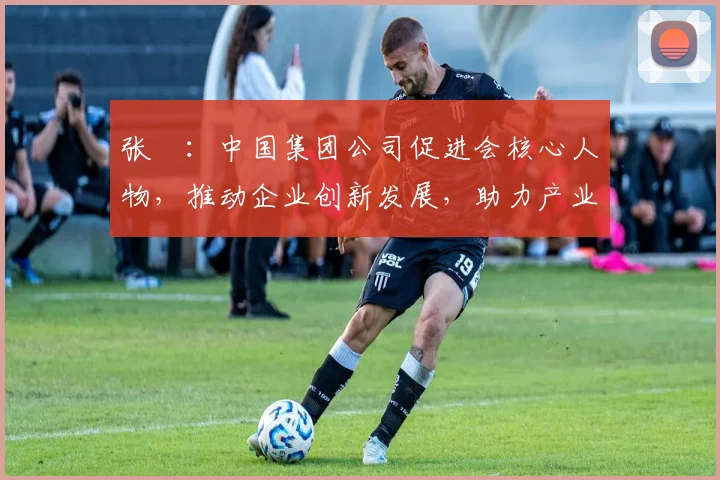 张彧：中国集团公司促进会核心人物，推动企业创新发展，助力产业升级，引领行业未来。